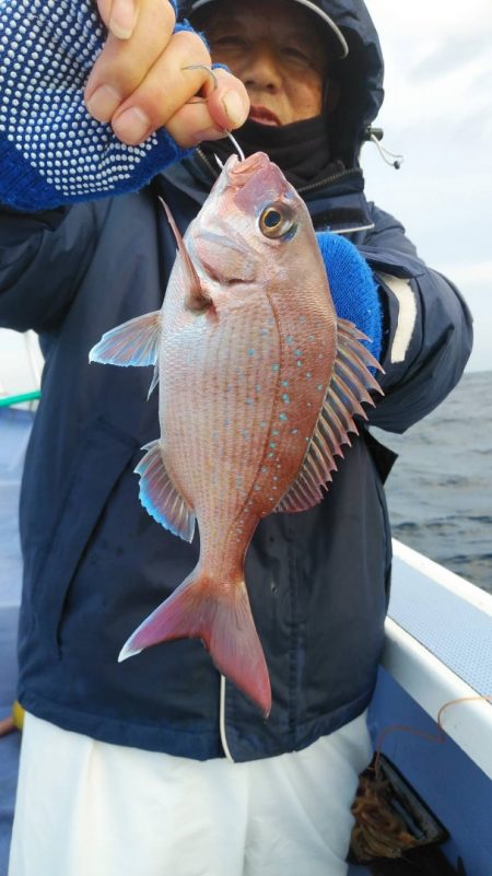 新幸丸 釣果