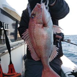 だて丸 釣果