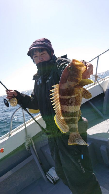 だて丸 釣果