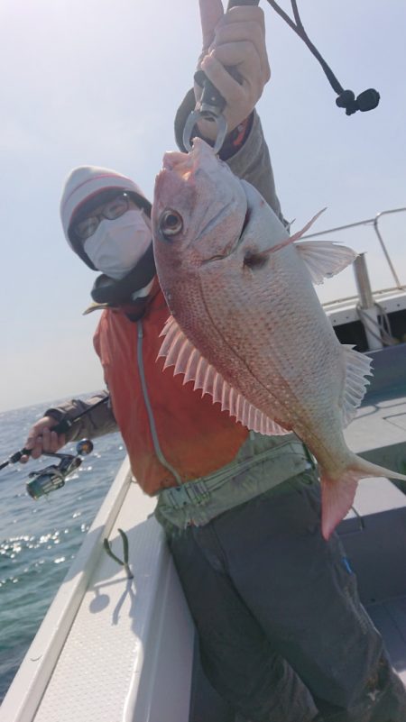 だて丸 釣果