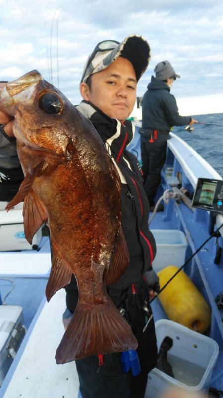 新幸丸 釣果