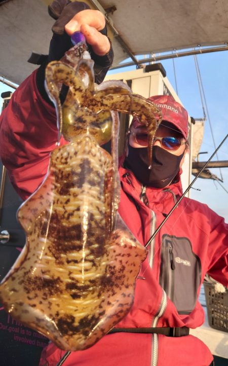 シースナイパー海龍 釣果