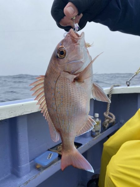 新幸丸 釣果