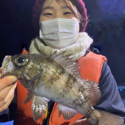 ヤザワ渡船 釣果