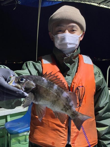 ヤザワ渡船 釣果