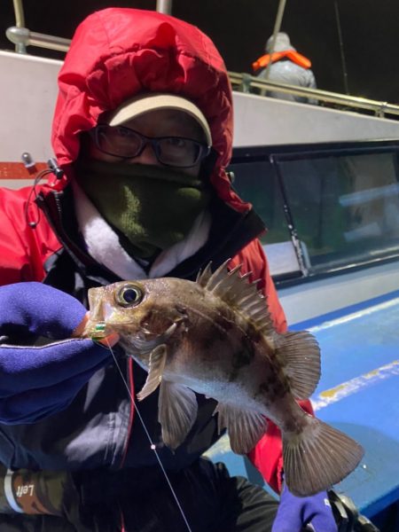 ヤザワ渡船 釣果