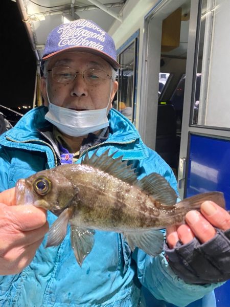 ヤザワ渡船 釣果