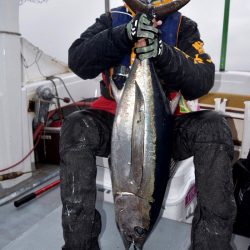 渡船屋たにぐち 釣果