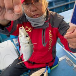 ヤザワ渡船 釣果