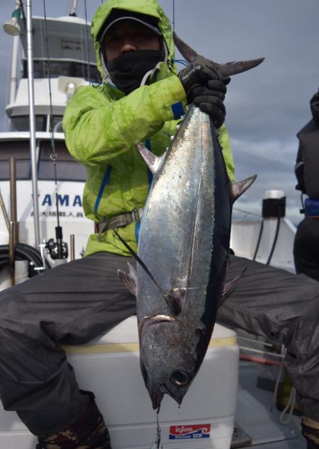 渡船屋たにぐち 釣果