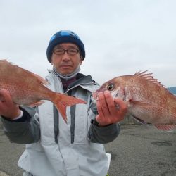 第三共栄丸 釣果