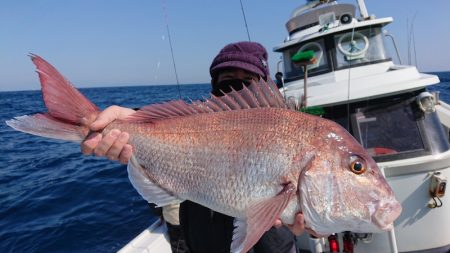 だて丸 釣果