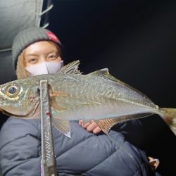 シースナイパー海龍 釣果