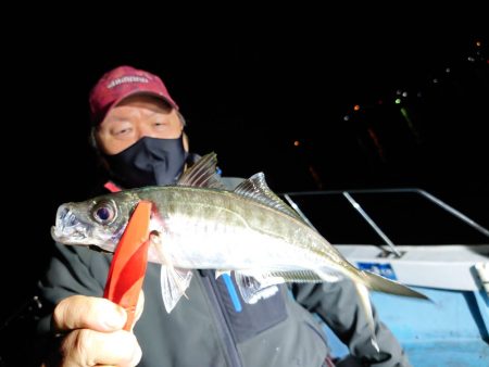 シースナイパー海龍 釣果