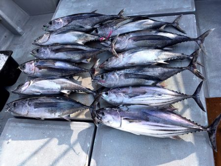 渡船屋たにぐち 釣果