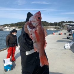 ぽん助丸 釣果