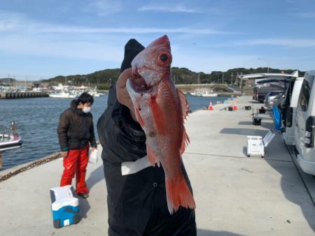 ぽん助丸 釣果