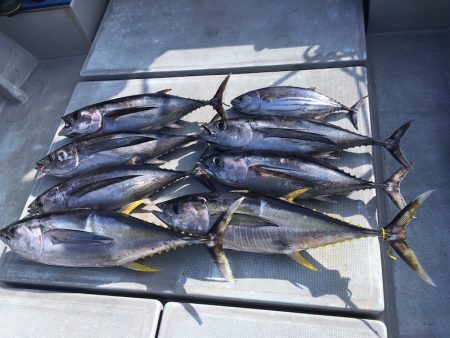 渡船屋たにぐち 釣果