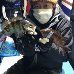 ヤザワ渡船 釣果