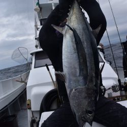 渡船屋たにぐち 釣果