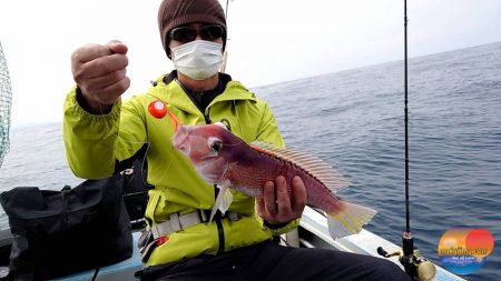 幕島丸 釣果