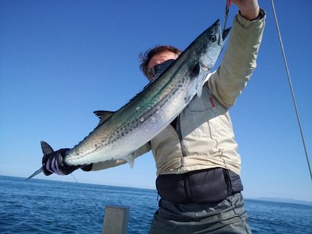 ひな丸 釣果