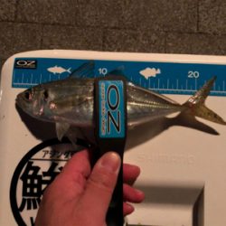 やっと初釣り