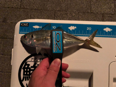 やっと初釣り