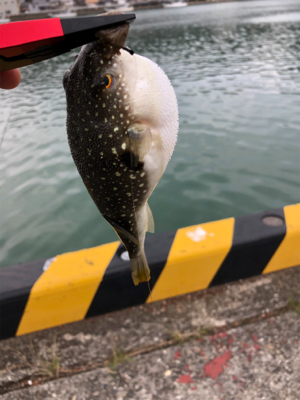 海でテキサスリグ