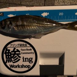 やっと初釣り