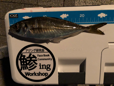 やっと初釣り