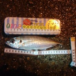 釣りデビュー　121日目