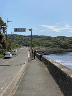 五目、カレイ釣り、