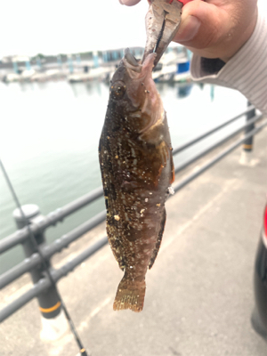 久しぶりの海〜