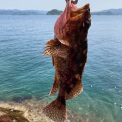 半年ぶりの渡船利用沖磯釣行