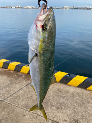 やっと今年初青物。