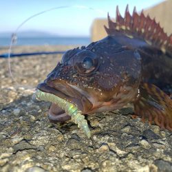 穴練釣行