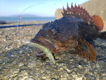 穴練釣行