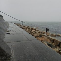 苅屋海岸のキス釣り