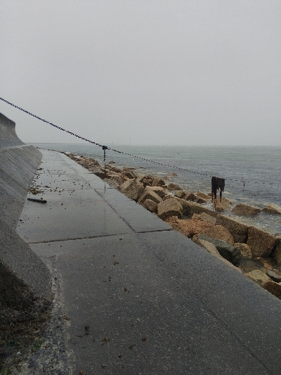 苅屋海岸のキス釣り