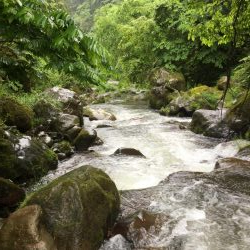 雨の中の渓流釣り