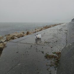 苅屋海岸のキス釣り