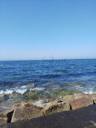 苅屋海岸のキス釣り