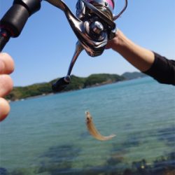 https://media.fishing.ne.jp/wp-content/uploads/2021/05/03_2_IMG_20210508_081520-250x250.jpg