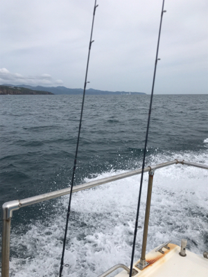 中深海〜鯛ラバ〜ジギング