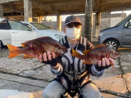 海星丸 釣果