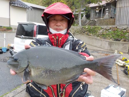 千鳥丸 釣果