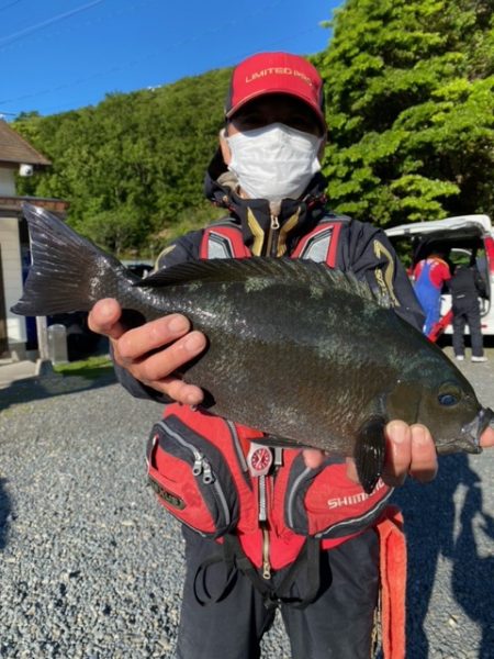 千津丸 釣果