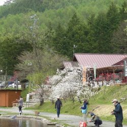 平谷湖フィッシングスポット 釣果