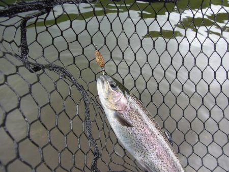 平谷湖フィッシングスポット 釣果